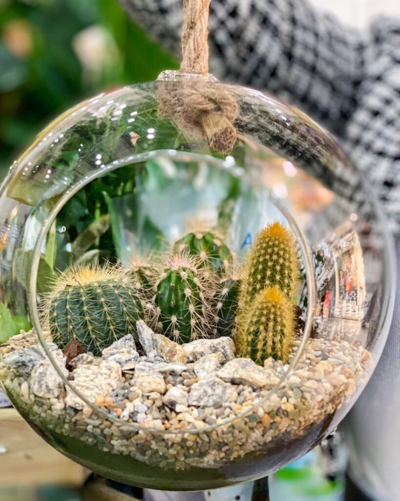 How To Make A Stunning Cactus Terrarium In 5 Easy Steps