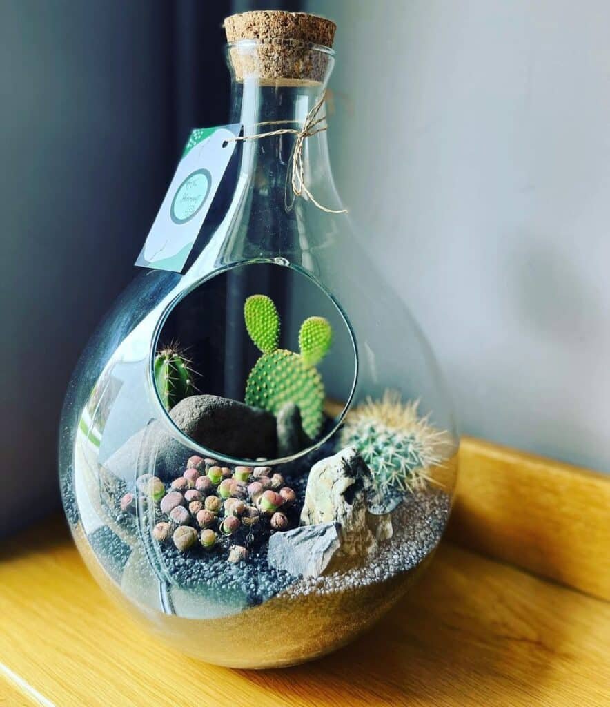 How To Make A Stunning Cactus Terrarium In 5 Easy Steps