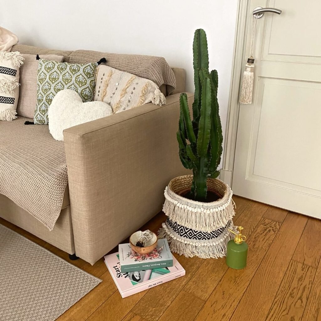 Top 10 Interesting Facts About The Best Types Of Cacti For Beginners To Grow At Home